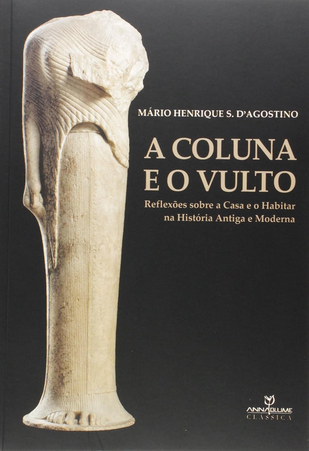 capítulo por capítulo baixar A Coluna e o Vulto. Reflexões Sobre a Casa e o Habitar na História Antiga e Moderna