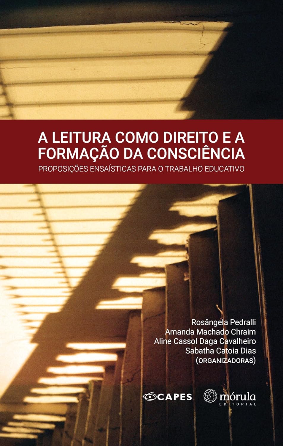 A leitura como direito e a formação da consciência: proposições ensaísticas para o trabalho educativo baixar o livro de graça