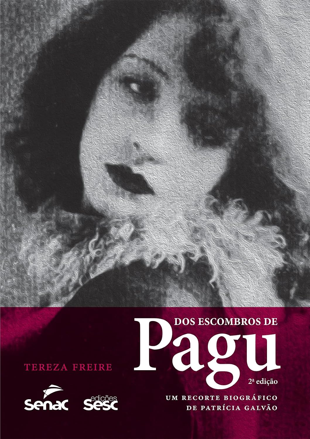 Dos escombros de Pagu: Um recorte biográfico de Patrícia Galvão baixar o livro de graça