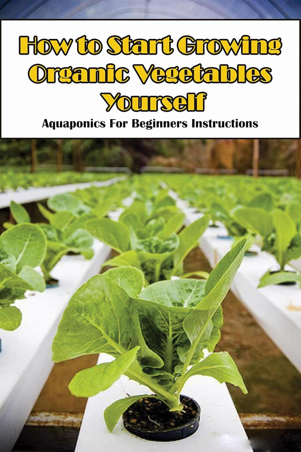 ler totalmente How To Start Growing Organic Vegetables Yourself_ Aquaponics For Beginners Instructions: Aquaponic Garden (English Edition)