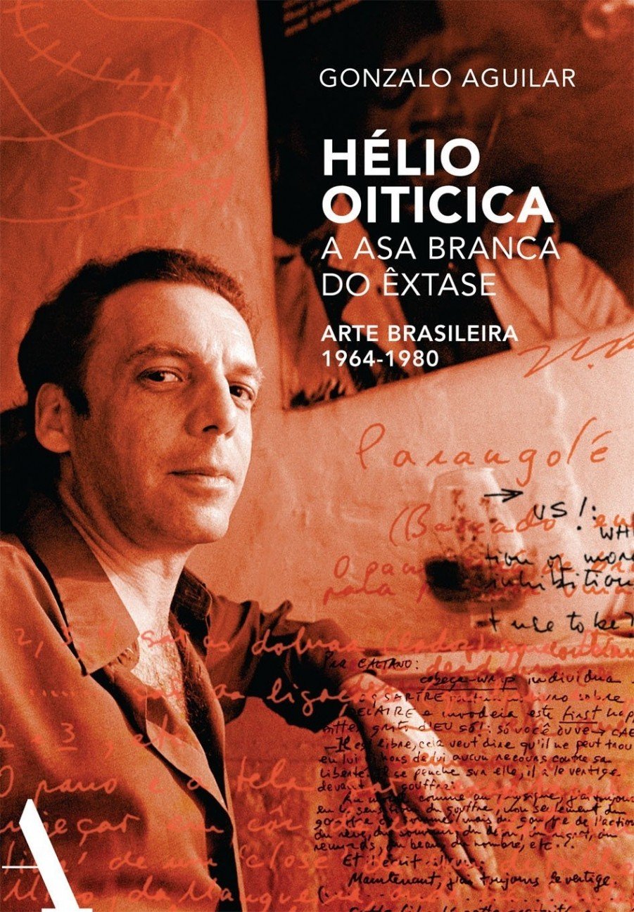 capítulo por capítulo baixar Hélio Oiticica: a asa branca do êxtase: Arte brasileira de 1964-1980