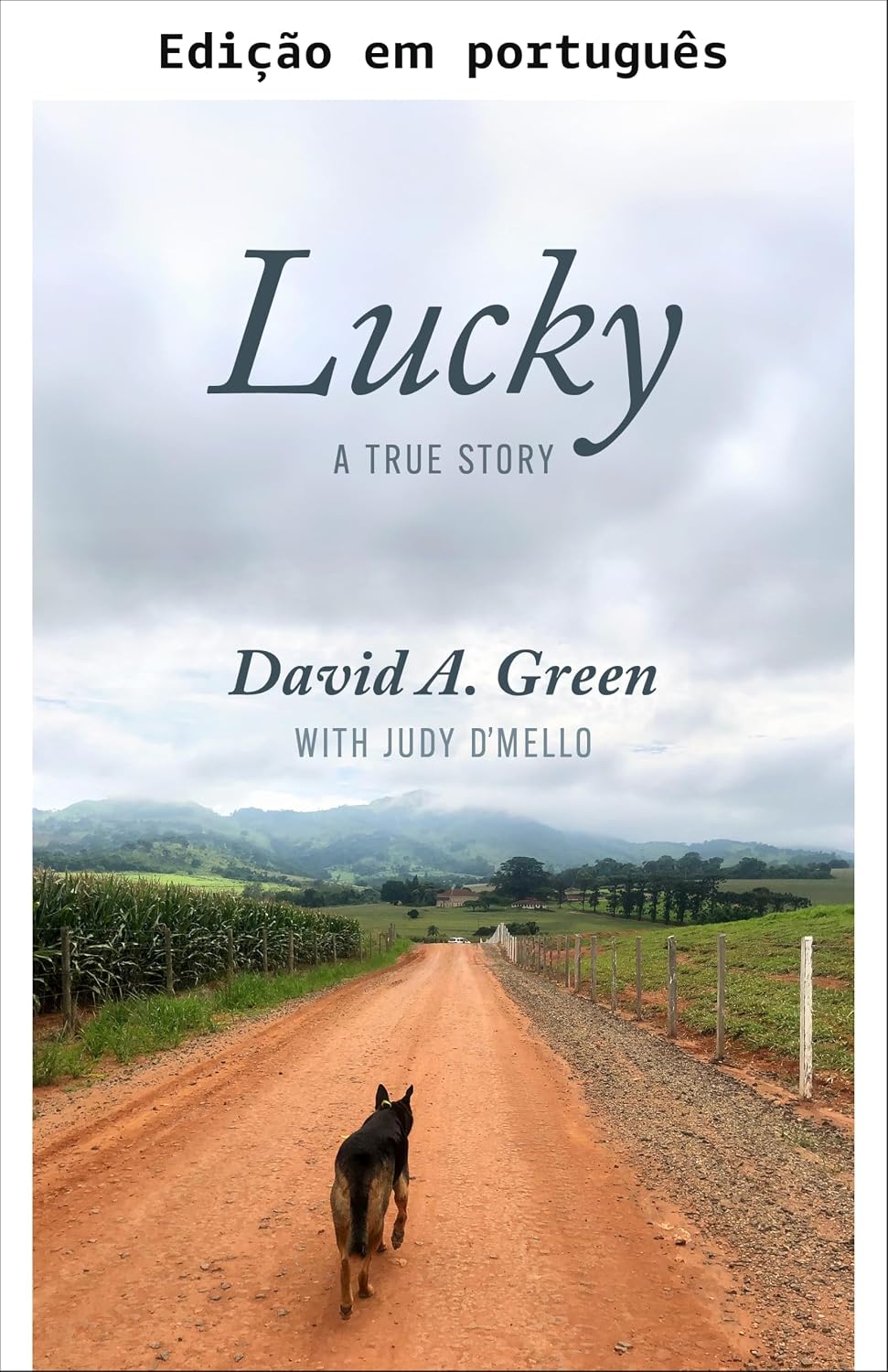 Lucky: uma história verdadeira baixar livro de graça