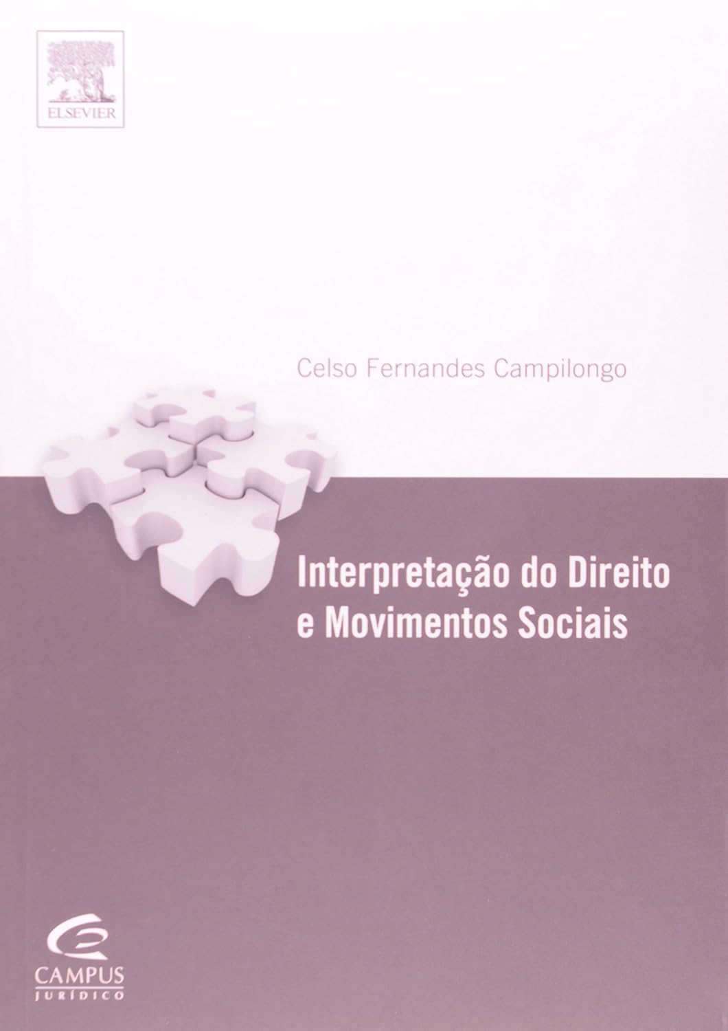 Interpretação dos Direitos e Movimentos Sociais baixar livro de graça