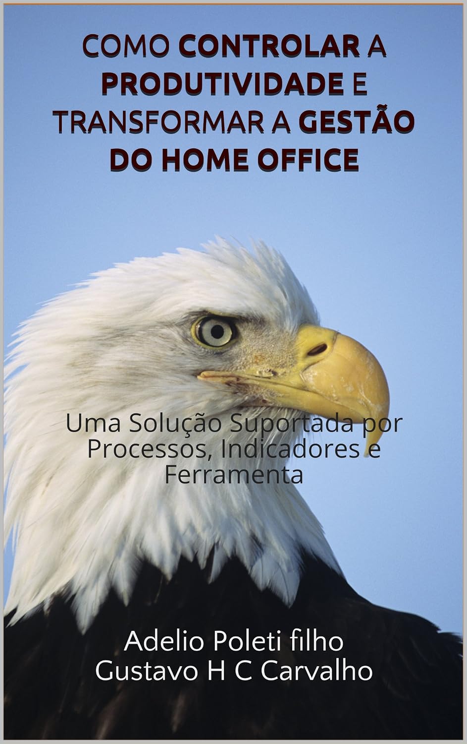 Como Controlar a Produtividade e Transformar a Gestão do Home Office: Uma Solução Suportada por Processos, Indicadores e Ferramenta (Gestão de Home Office Livro 1) baixar livro de graça