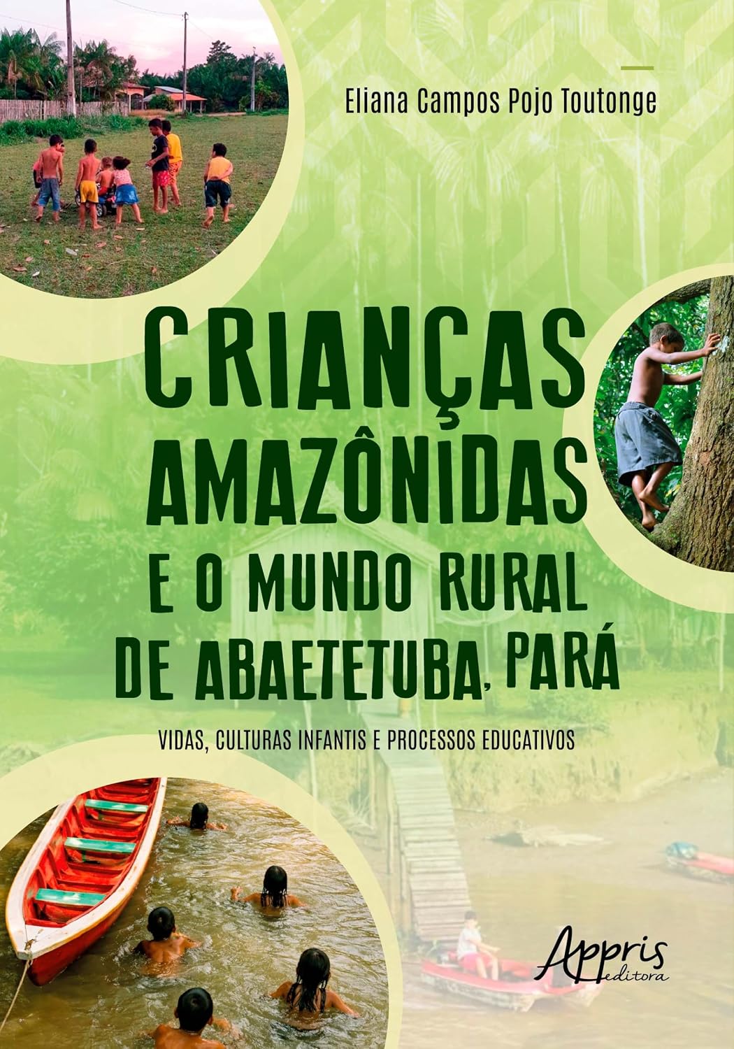 Crianças Amazônidas e o Mundo Rural de Abaetetuba, Pará: Vidas, Culturas Infantis e Processos Educativos baixar o livro de graça