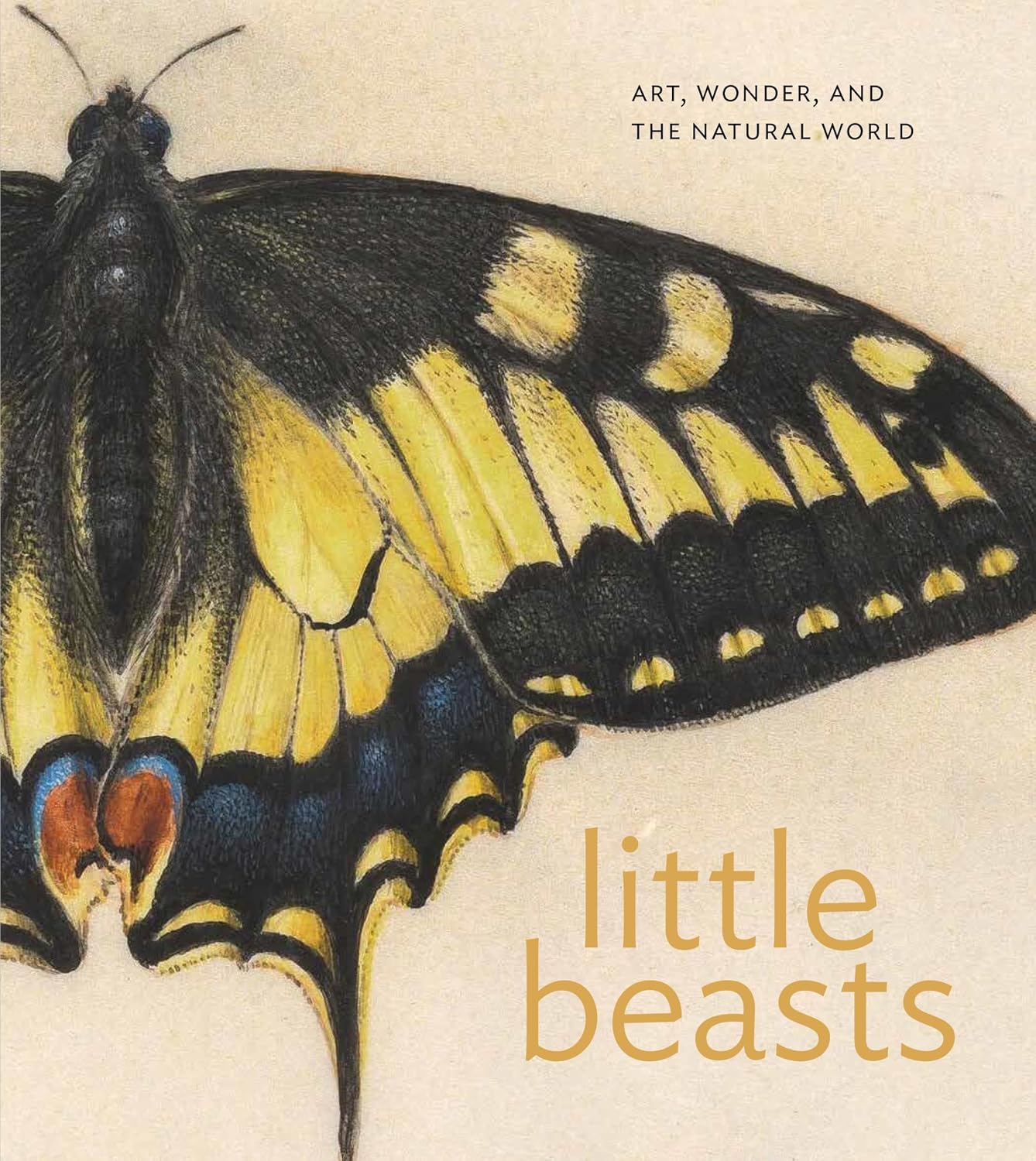 ler totalmente Little Beasts: Art, Wonder, and the Natural World (English Edition)
