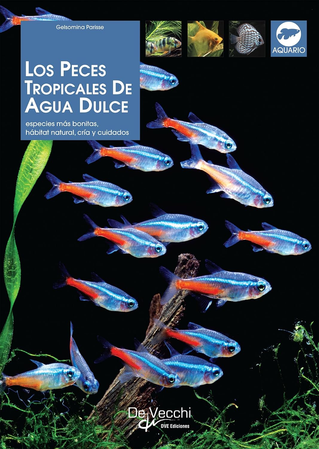 capítulo por capítulo baixar Los peces tropicales de agua dulce (Spanish Edition)