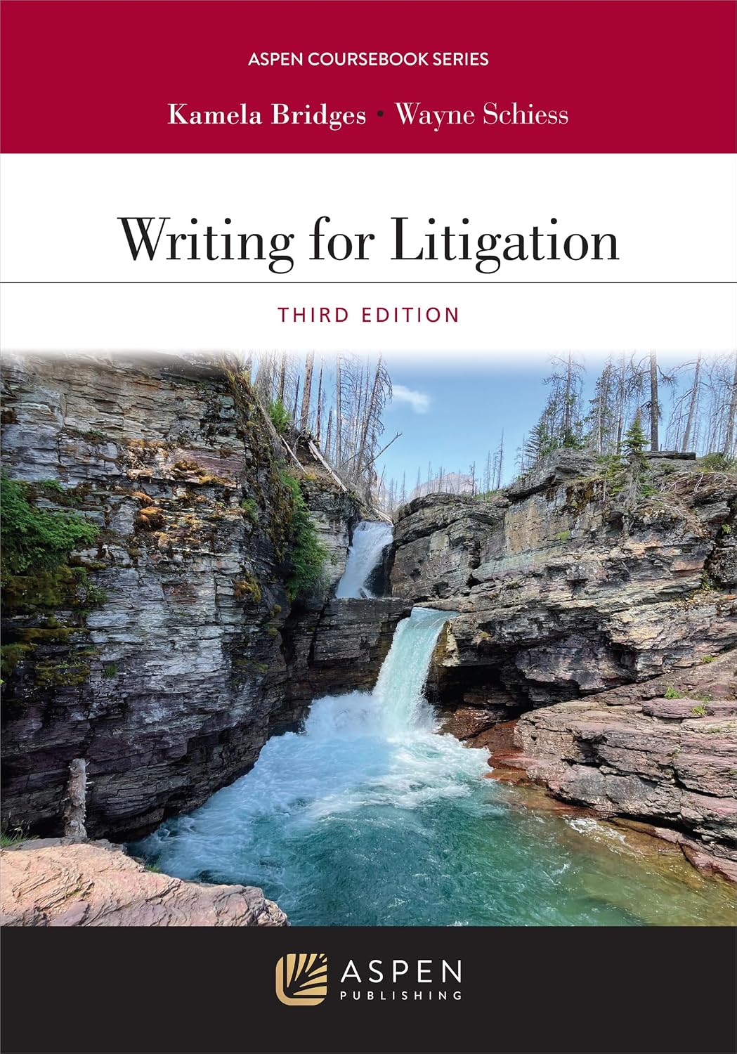 Writing for Litigation (Aspen Coursebook Series) (English Edition) baixar livro de graça