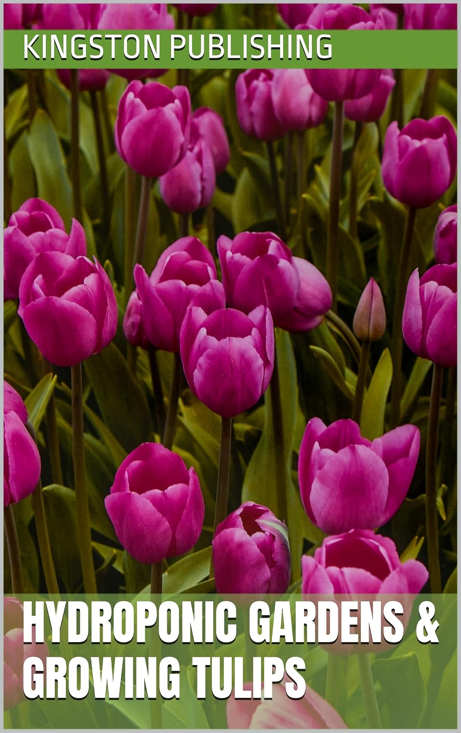 Hydroponic Gardens & Growing Tulips (Relaxing Gardens) (English Edition) baixar o livro de graça