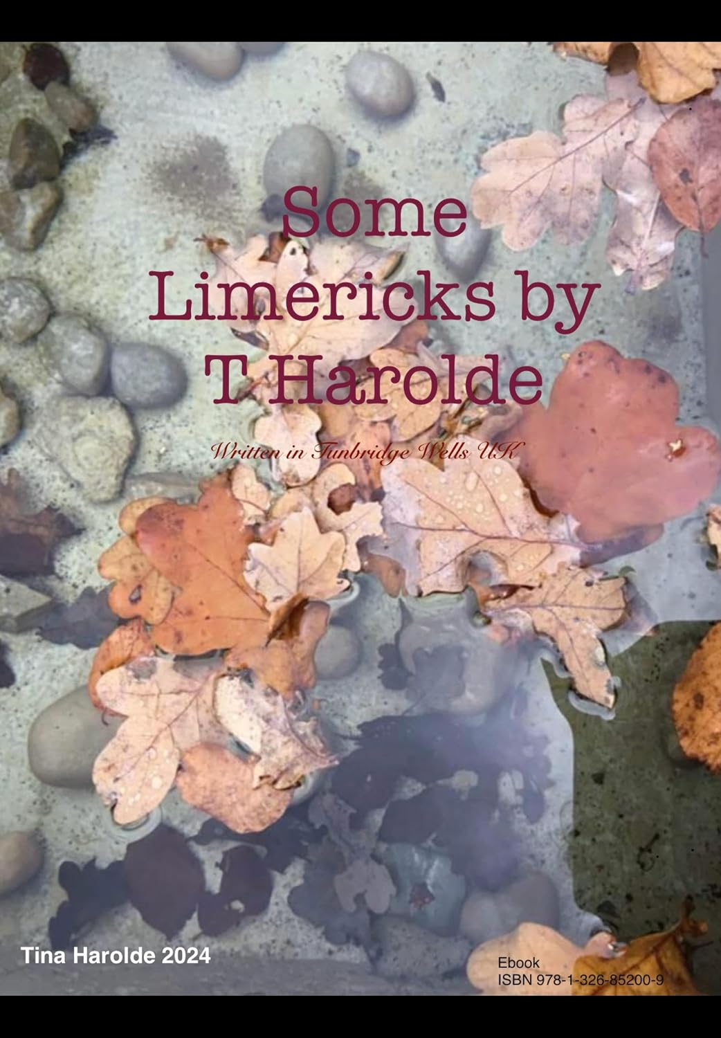 Some Limericks by T Harolde: Written in Tunbridge Wells, UK (English Edition)