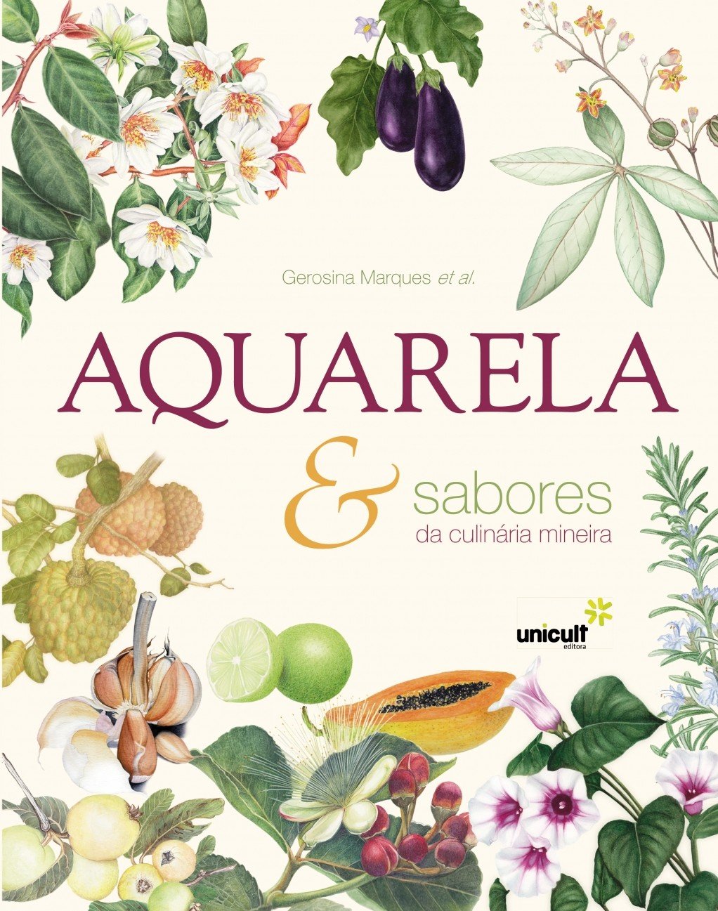 Aquarela & Sabores Da Culinária Mineira baixar o livro de graça