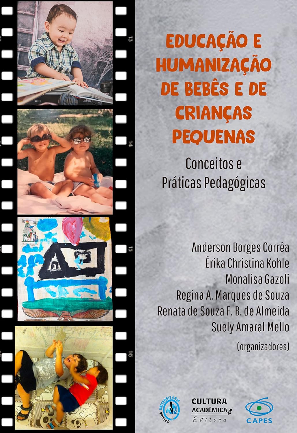 Educação e humanização de bebês e de crianças pequenas: conceitos e práticas pedagógicas baixar livro de graça