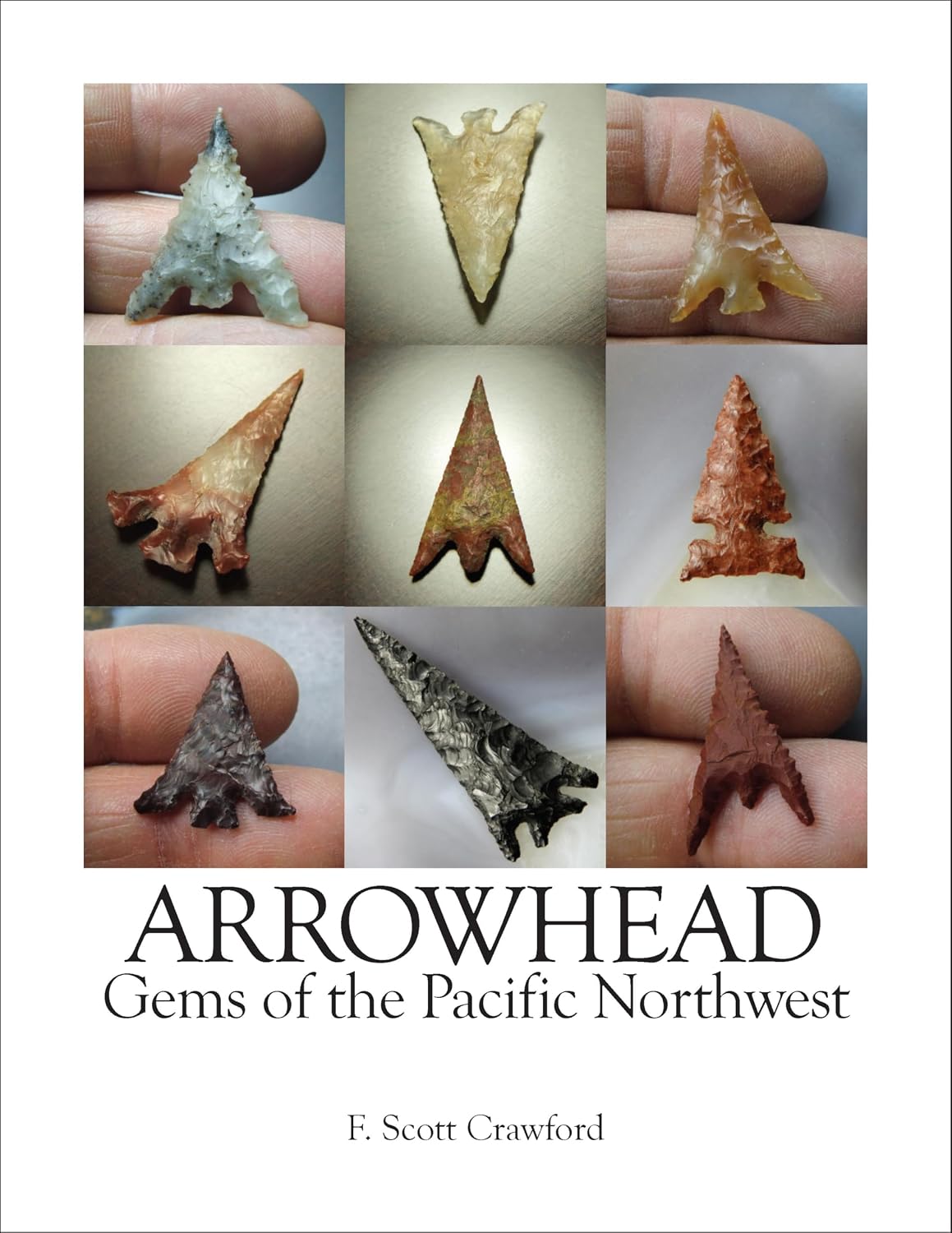 ler totalmente ARROWHEAD Gems of the Pacific Northwest (English Edition)