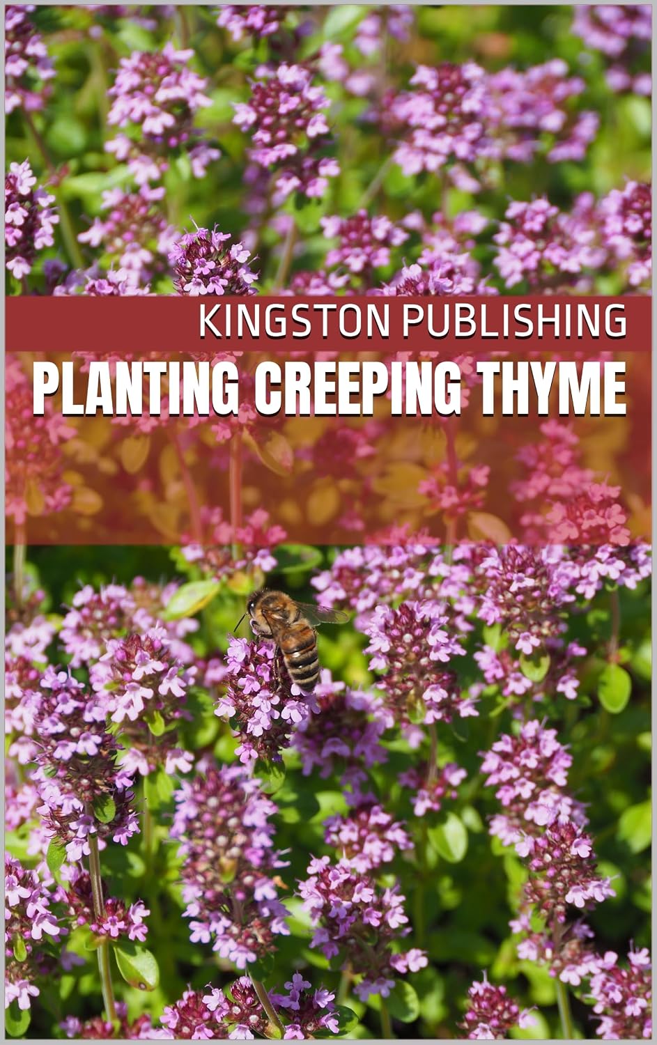 Planting Creeping Thyme (Transformative Gardens) (English Edition) baixar livro de graça