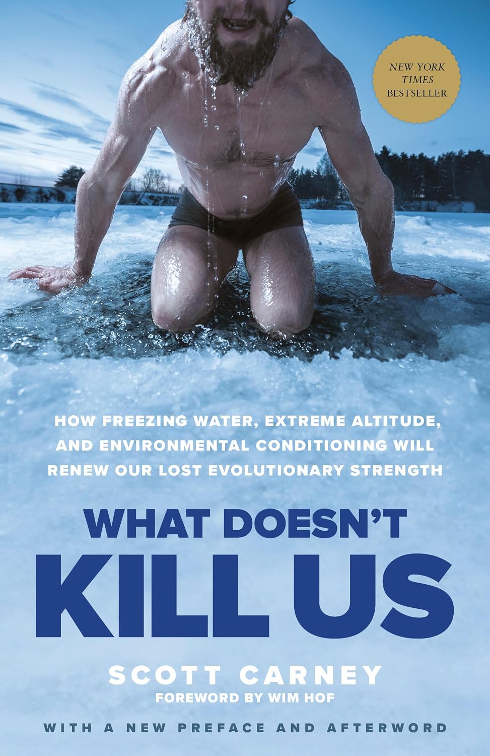 What Doesn't Kill Us: How Freezing Water, Extreme Altitude, and Environmental Conditioning Will Renew Our Lost Evolutionary Strength baixar livro de graça