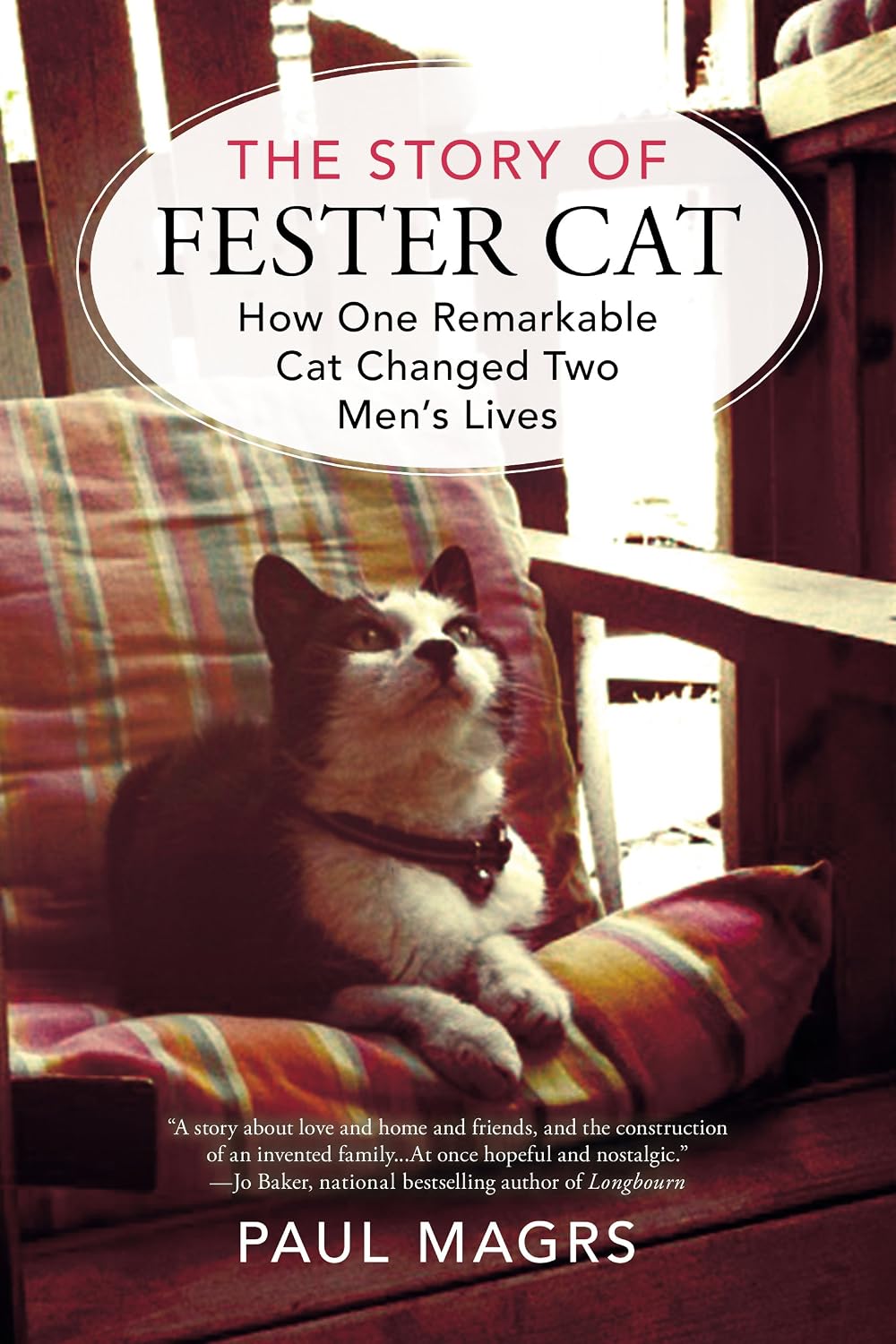 The Story of Fester Cat: How One Remarkable Cat Changed Two Men's Lives (English Edition)