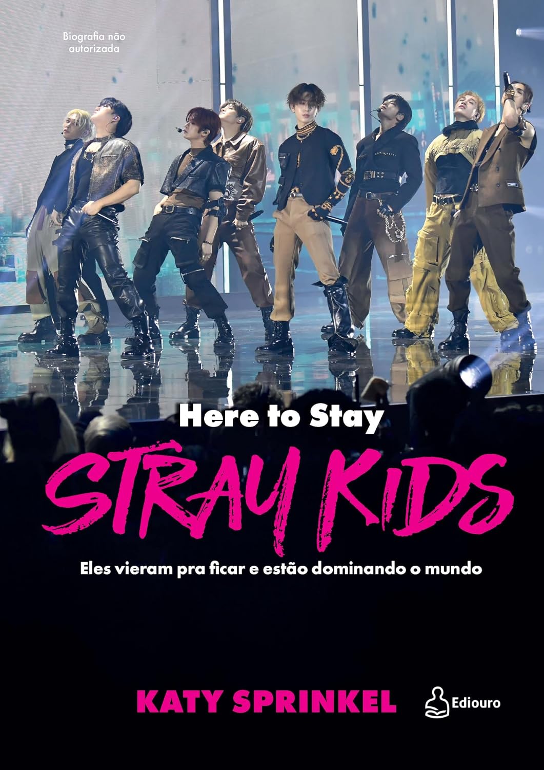 Stray Kids: Here To Stay: Eles vieram pra ficar e estão dominando o mundo baixar livro de graça