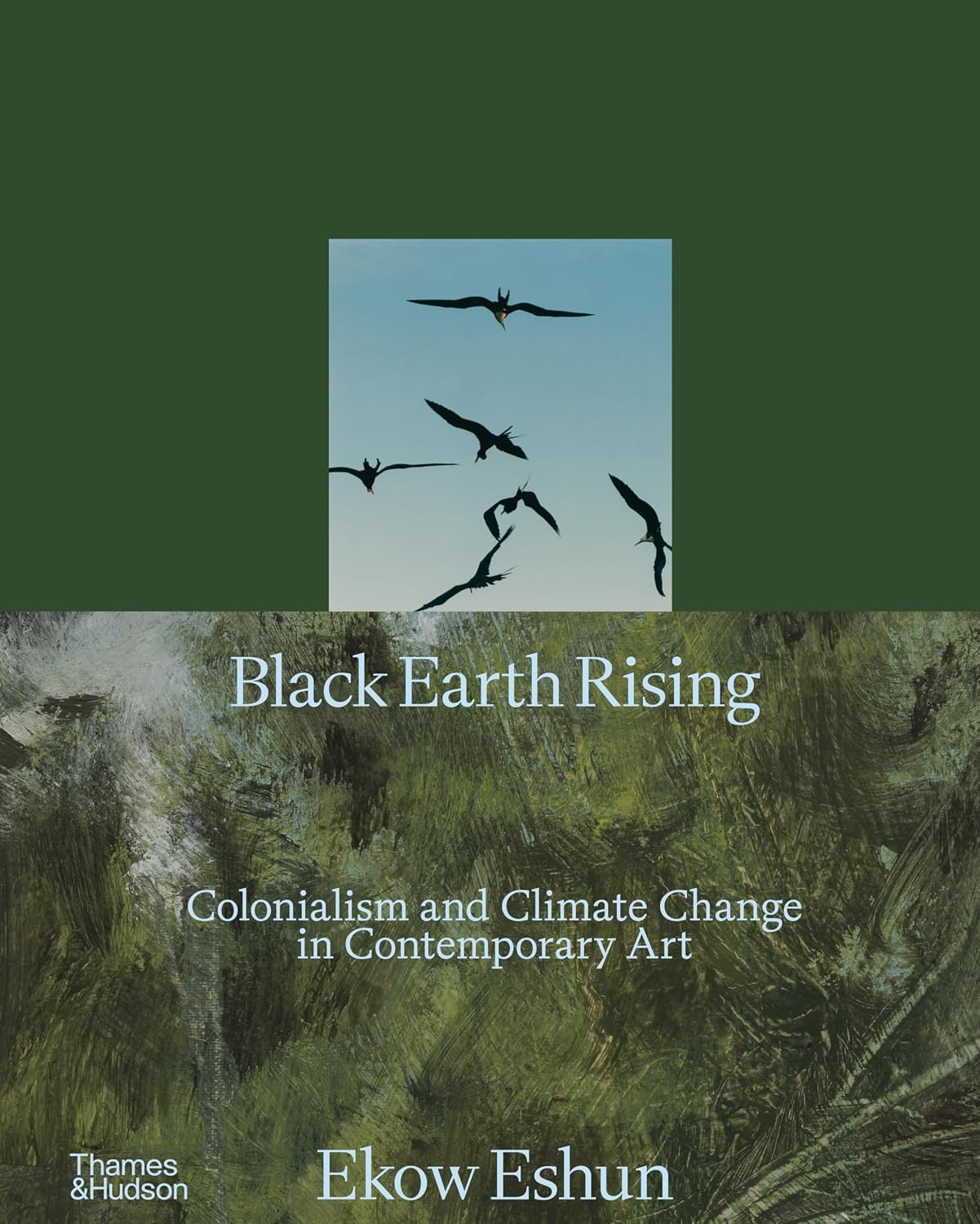 ler totalmente Black Earth Rising: Colonialism and Climate Change in Contemporary Art
