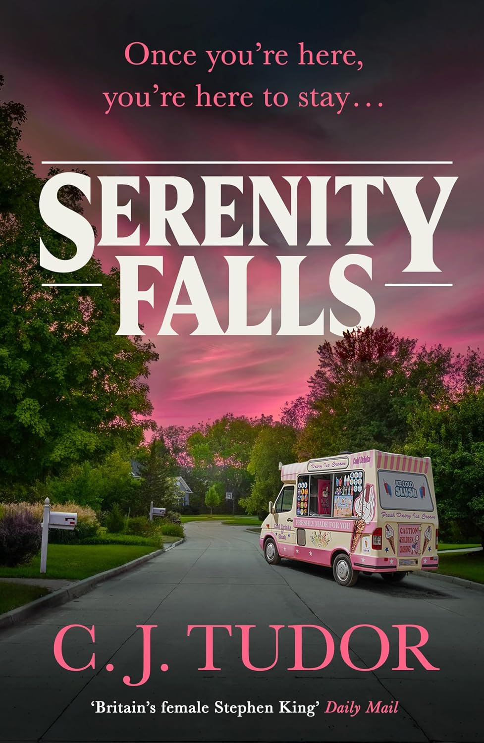 Serenity Falls: “Stephen King collides with The Stepford Wives”...the unsettling new novel from the bestselling queen of horror (English Edition) baixar o livro de graça