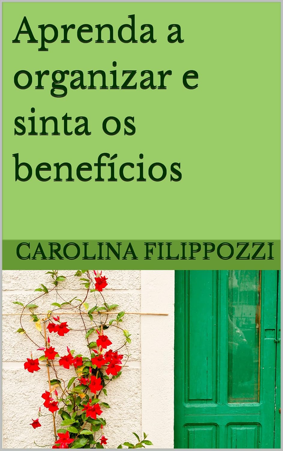 ler totalmente Aprenda a organizar e sinta os benefícios: Energia, paz e prosperidade