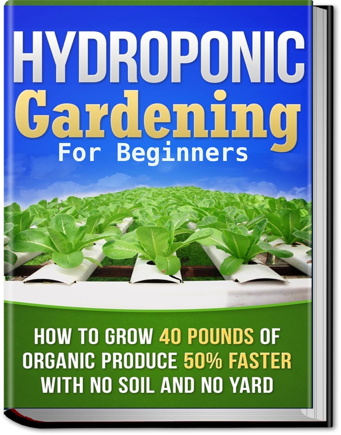 ler totalmente Hydroponic Gardening: How To Grow 40 Pounds of Organic Produce 50% Faster With No Soil And No Yard (hydroponic gardening, aquaponics, square foot gardening,... urban homestead) (English Edition)
