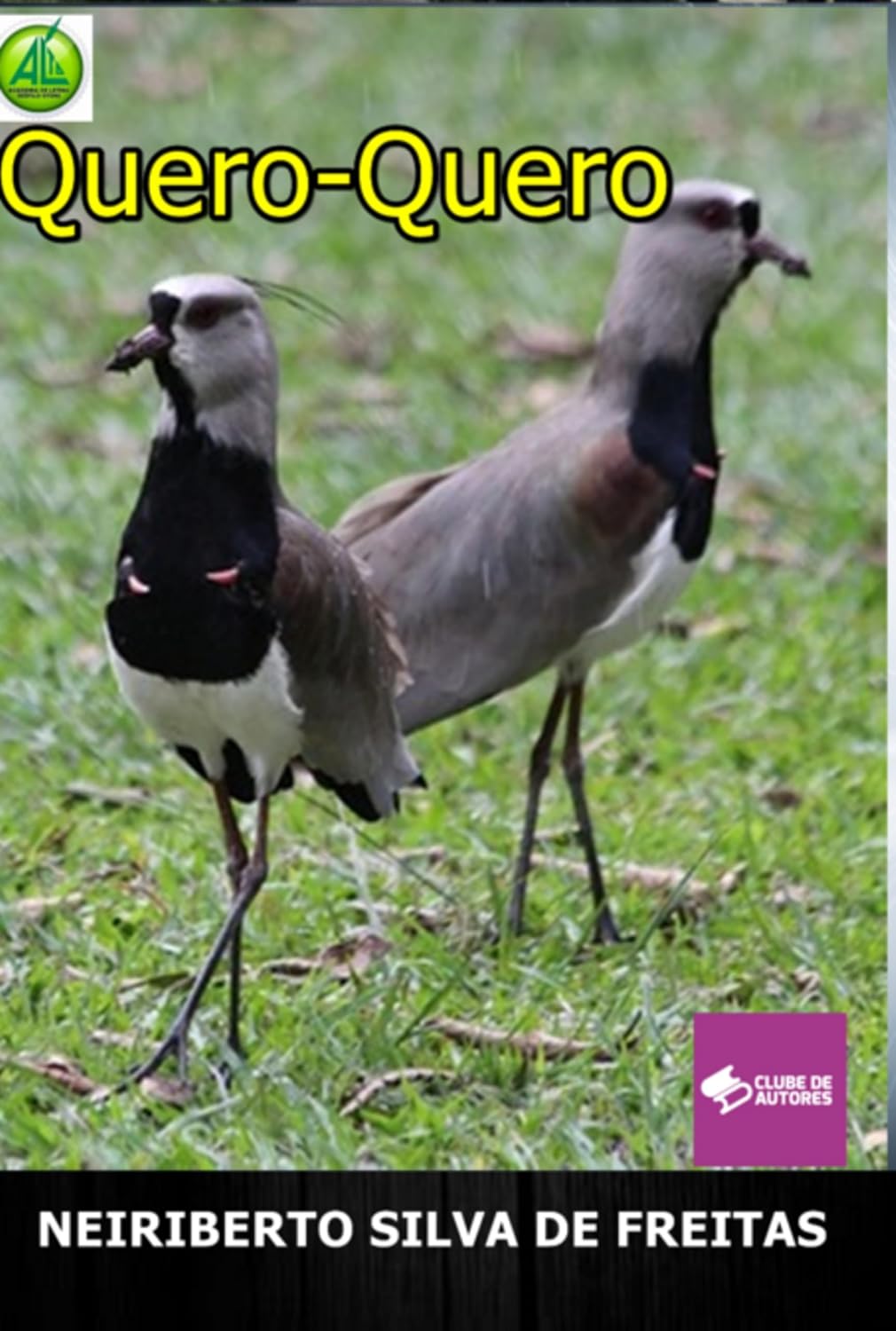 Quero-quero baixar o livro de graça