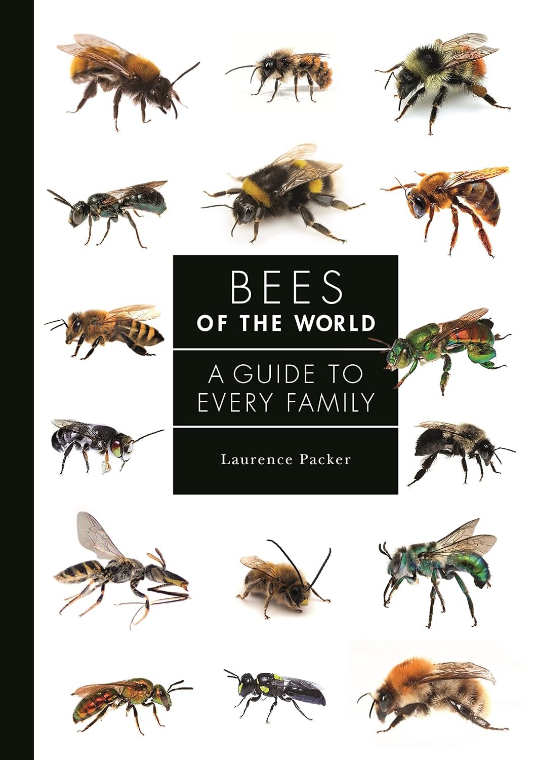 capítulo por capítulo baixar Bees of the World: A Guide to Every Family: 5