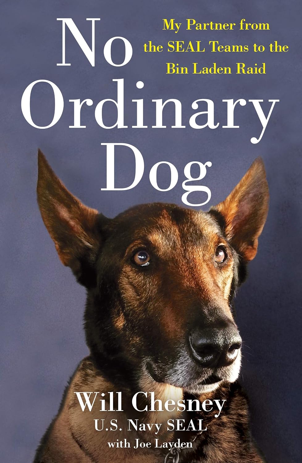 No Ordinary Dog: My Partner from the Seal Teams to the Bin Laden Raid baixar livro de graça