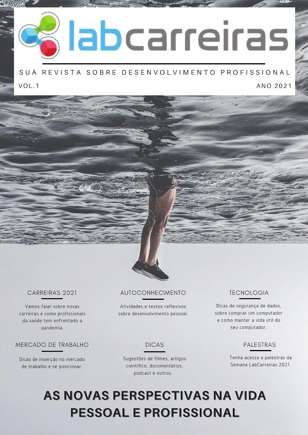Revista LabCarreiras sobre gestão da vida profissional: As novas perspectivas na vida pessoal e profissional baixar livro de graça