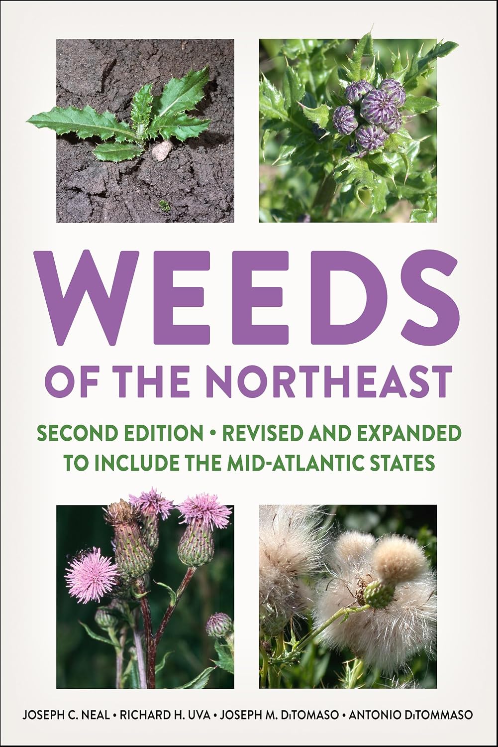 Weeds of the Northeast: Includes the Mid-atlantic States baixar livro de graça
