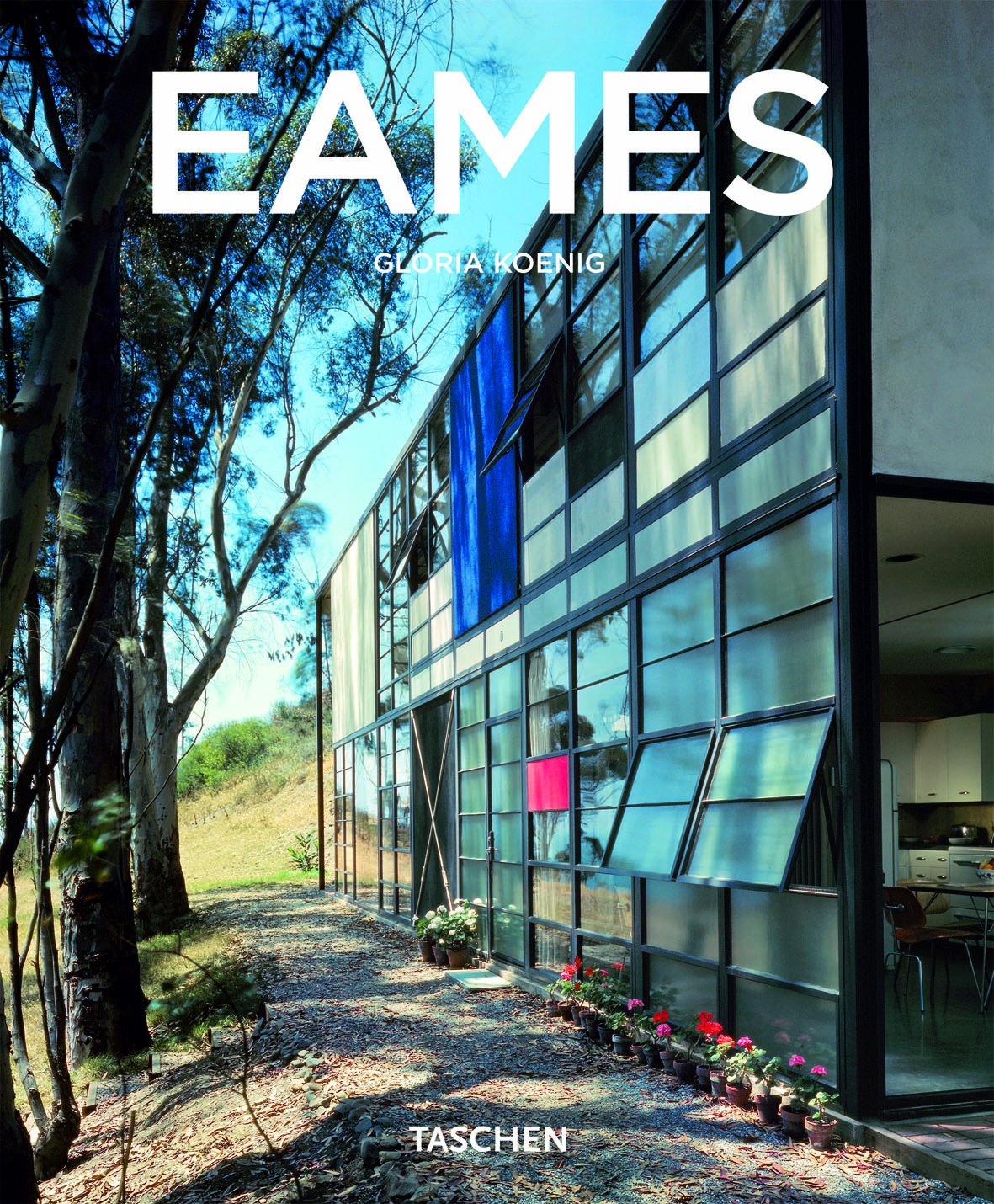 ler totalmente Eames