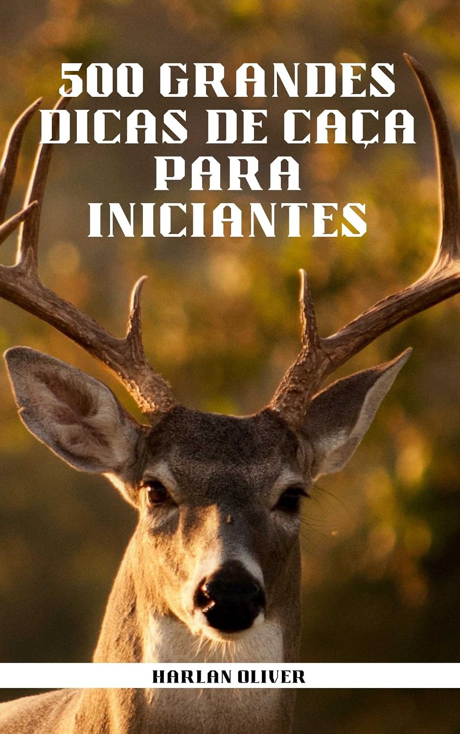 500 GRANDES DICAS DE CAÇA PARA INICIANTES baixar livro de graça