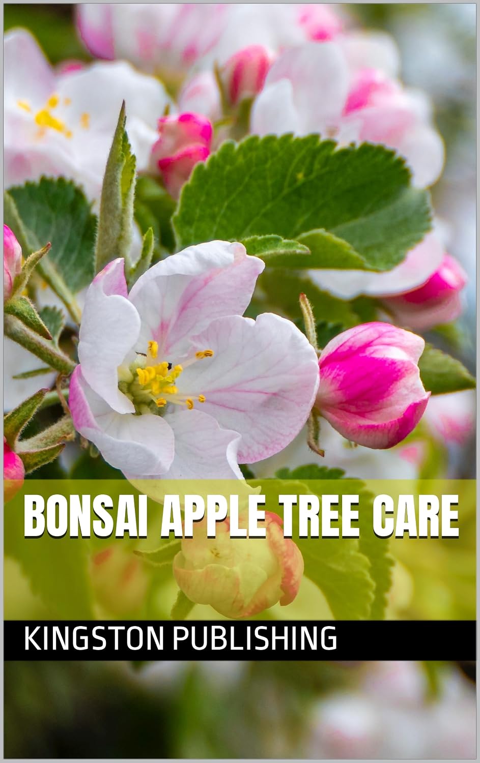 Bonsai Apple Tree Care (Relaxing Gardens) (English Edition)