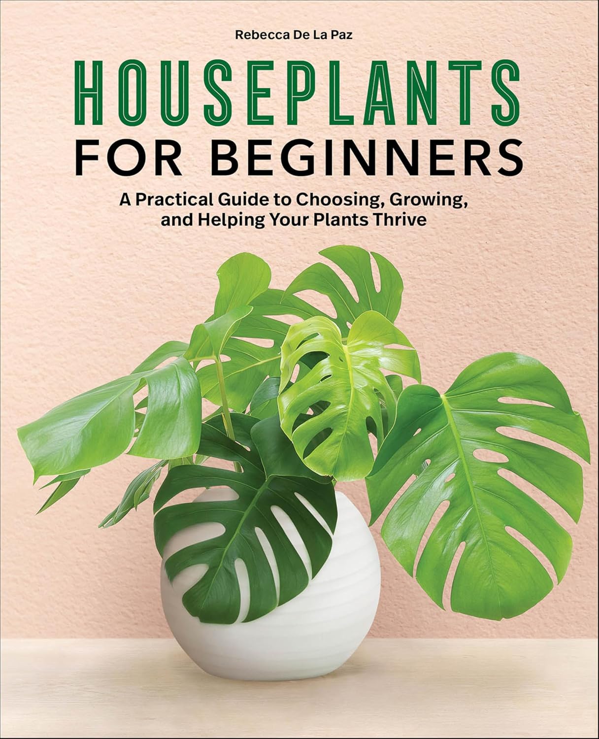 Houseplants for Beginners: A Practical Guide to Choosing, Growing, and Helping Your Plants Thrive (English Edition) baixar livro de graça