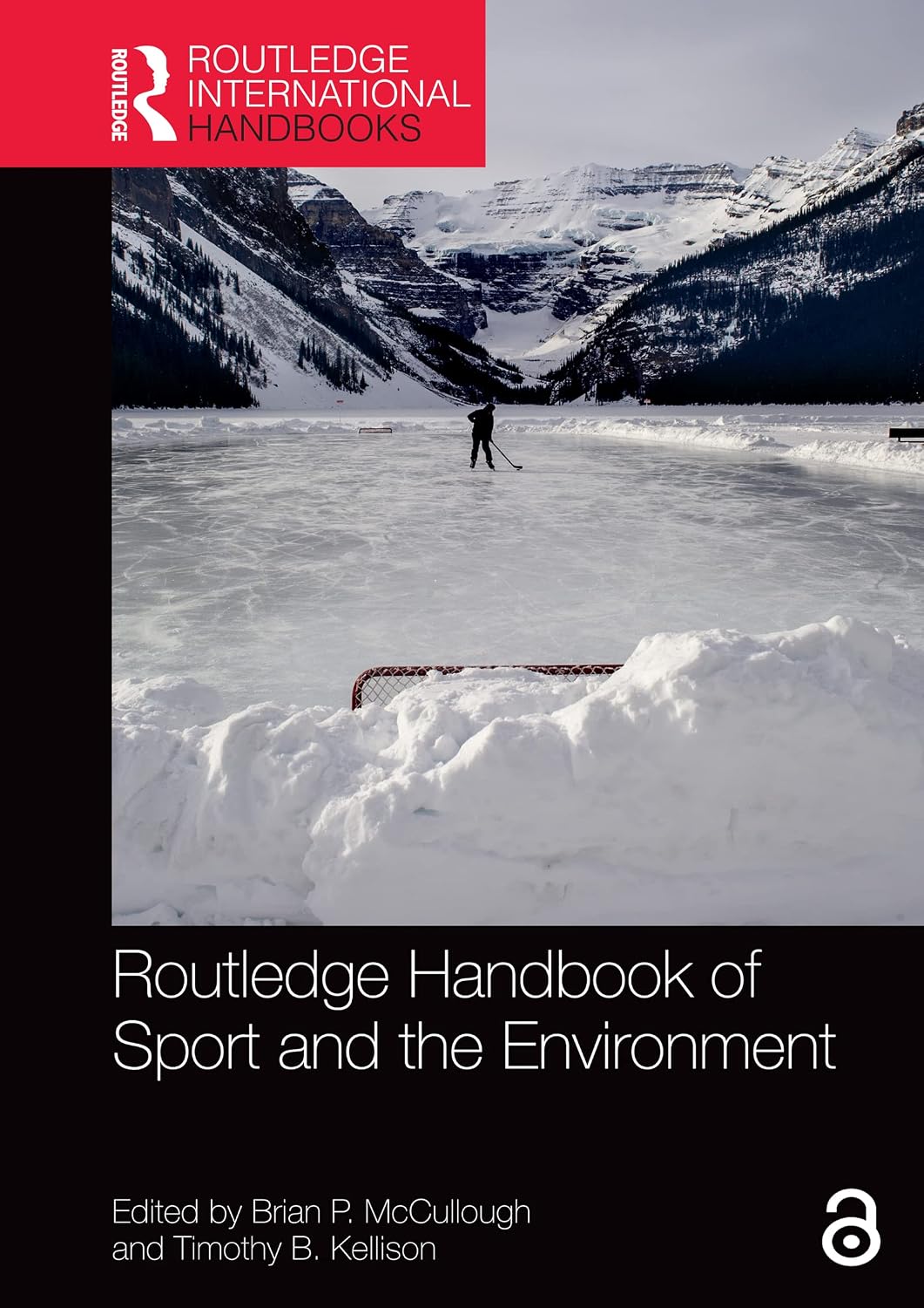 Routledge Handbook of Sport and the Environment (Routledge International Handbooks) (English Edition) baixar livro de graça
