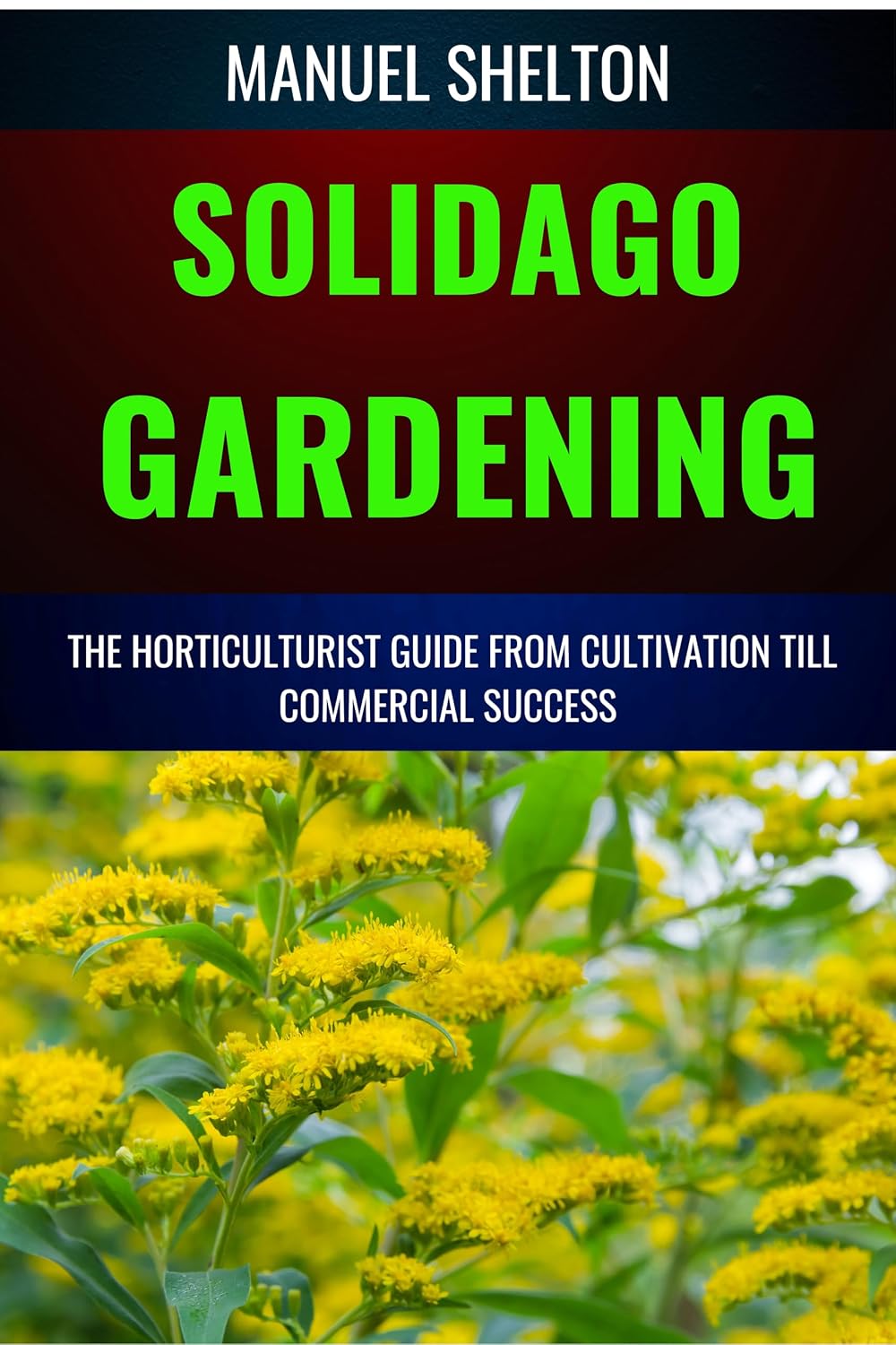 SOLIDAGO GARDENING HORTICULTURISTS GUIDE FROM CULTIVATION TILL COMMERCIAL SUCCESS: The Definitive Handbook For Cultivation, Management, Expert Strategies,... Tips For Profitable Growth (English Edition) baixar livro de graça