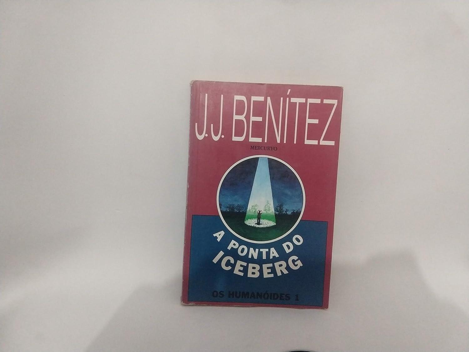 A Ponta Do Iceberg baixar livro de graça