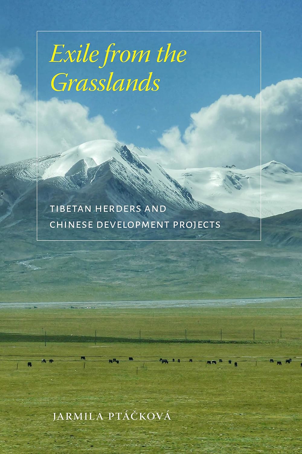 Exile from the Grasslands: Tibetan Herders and Chinese Development Projects (Studies on Ethnic Groups in China) (English Edition) baixar o livro de graça