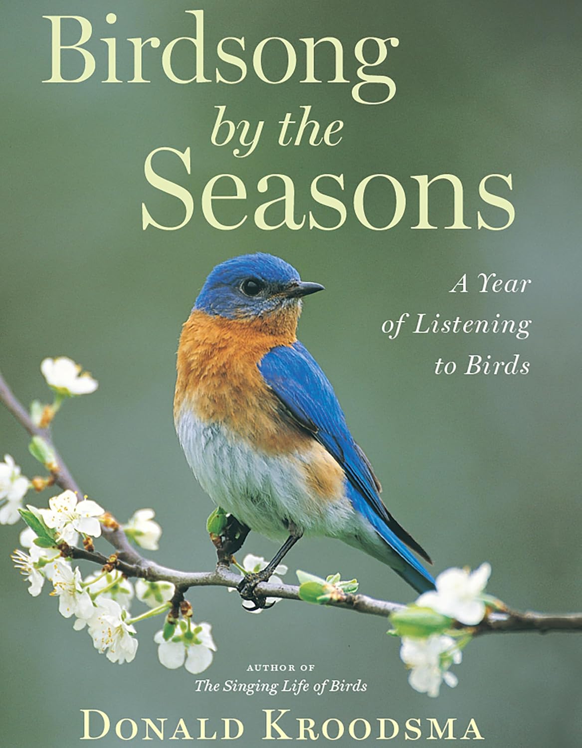 Birdsong by the Seasons: A Year of Listening to Birds (English Edition) baixar livro de graça