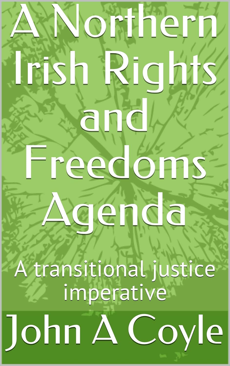 A Northern Irish Rights and Freedoms Agenda: A transitional justice imperative (English Edition) baixar livro de graça