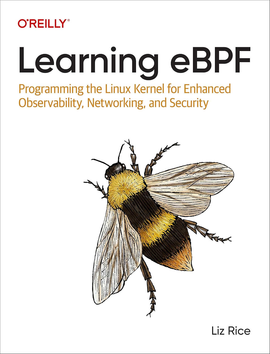 Learning eBPF: Programming the Linux Kernel for Enhanced Observability, Networking, and Security (English Edition) baixar o livro de graça