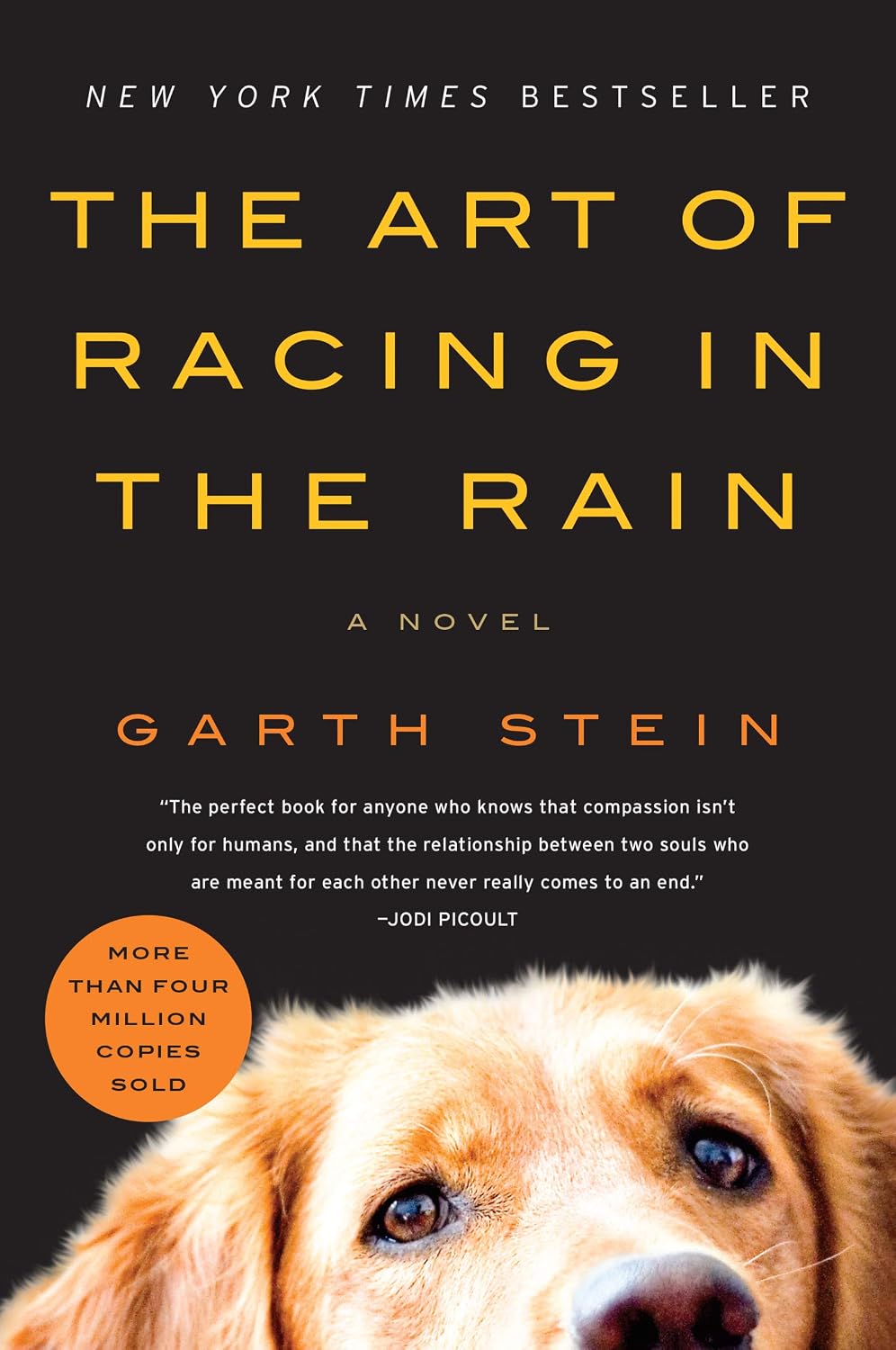 The Art of Racing in the Rain: A Novel (English Edition) baixar livro de graça