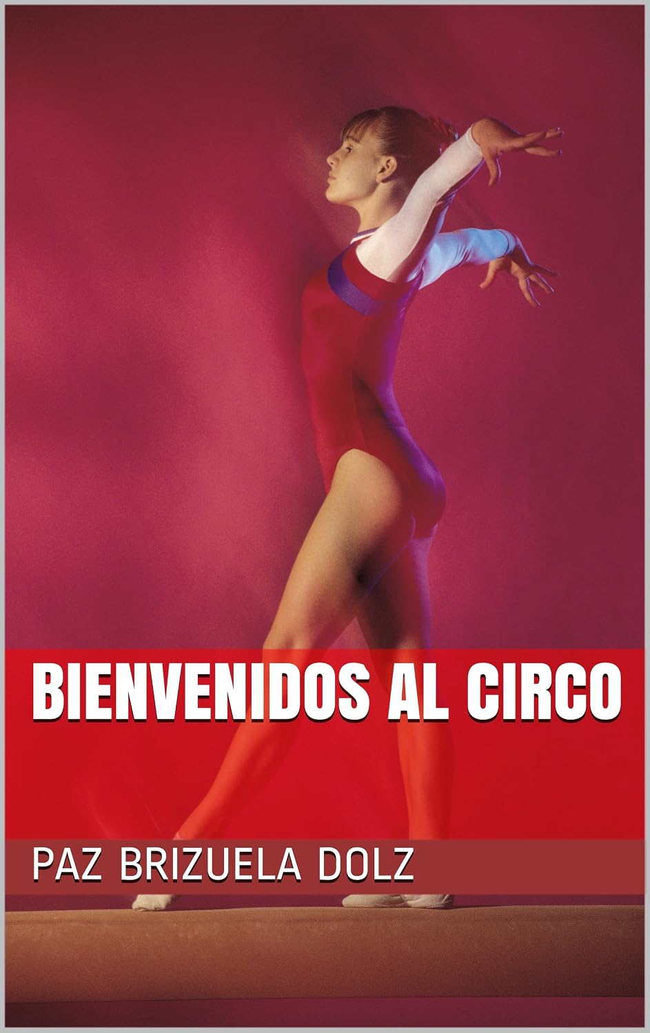 Bienvenidos al Circo (Agnese nº 1) (Spanish Edition) baixar o livro de graça