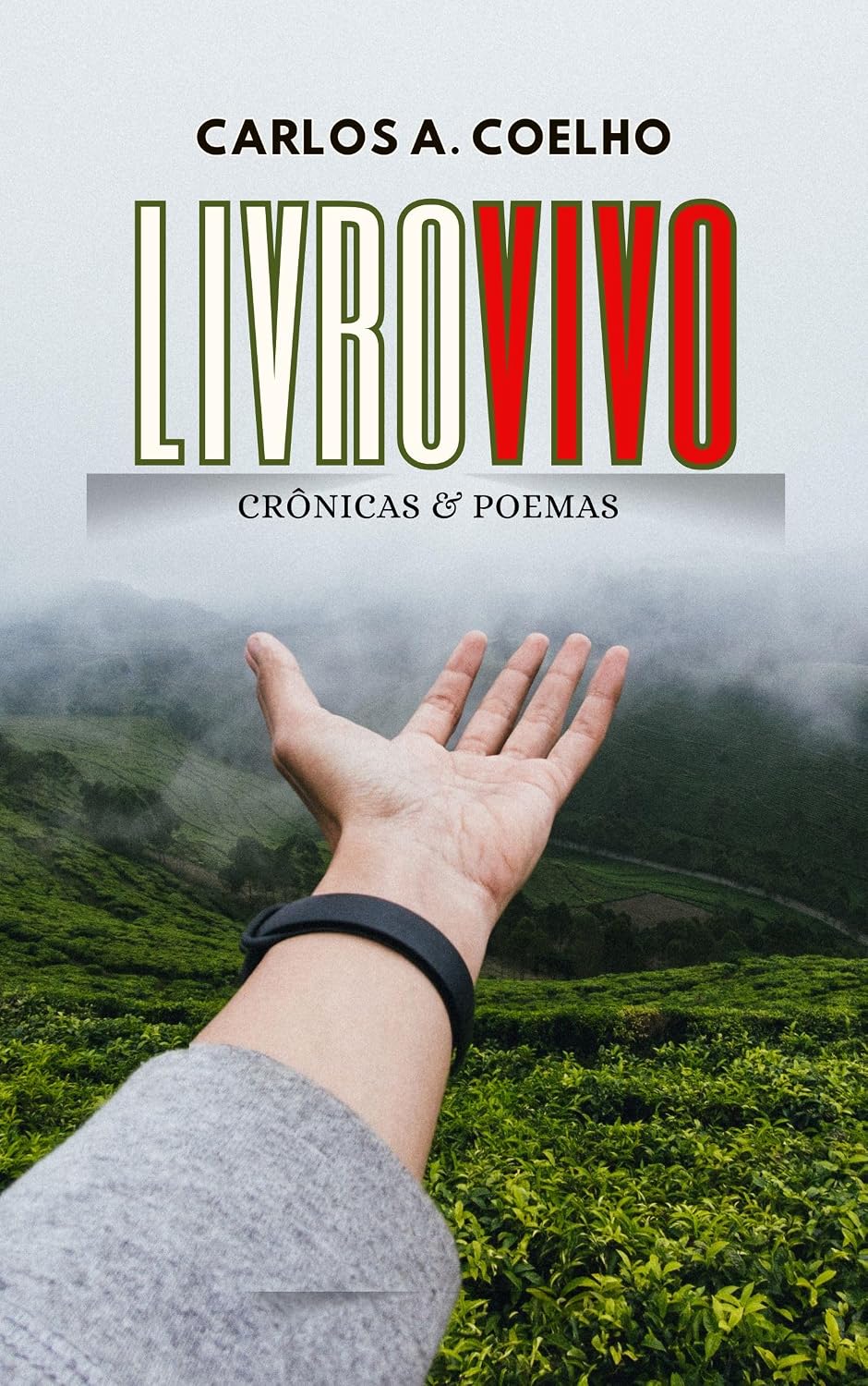 LivroVivo baixar o livro de graça