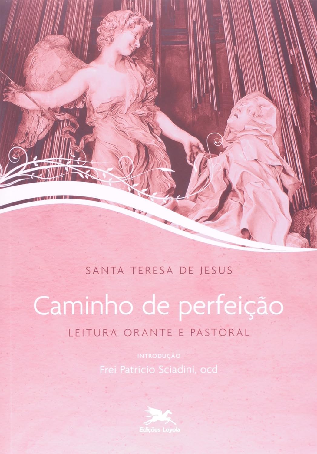 Caminho de perfeição: Leitura orante e pastoral baixar livro de graça