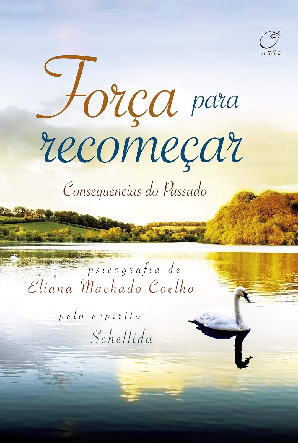 Força para recomeçar baixar livro de graça