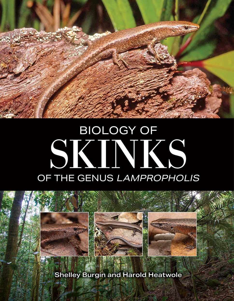 Biology of Skinks of the Genus Lampropholis (English Edition)