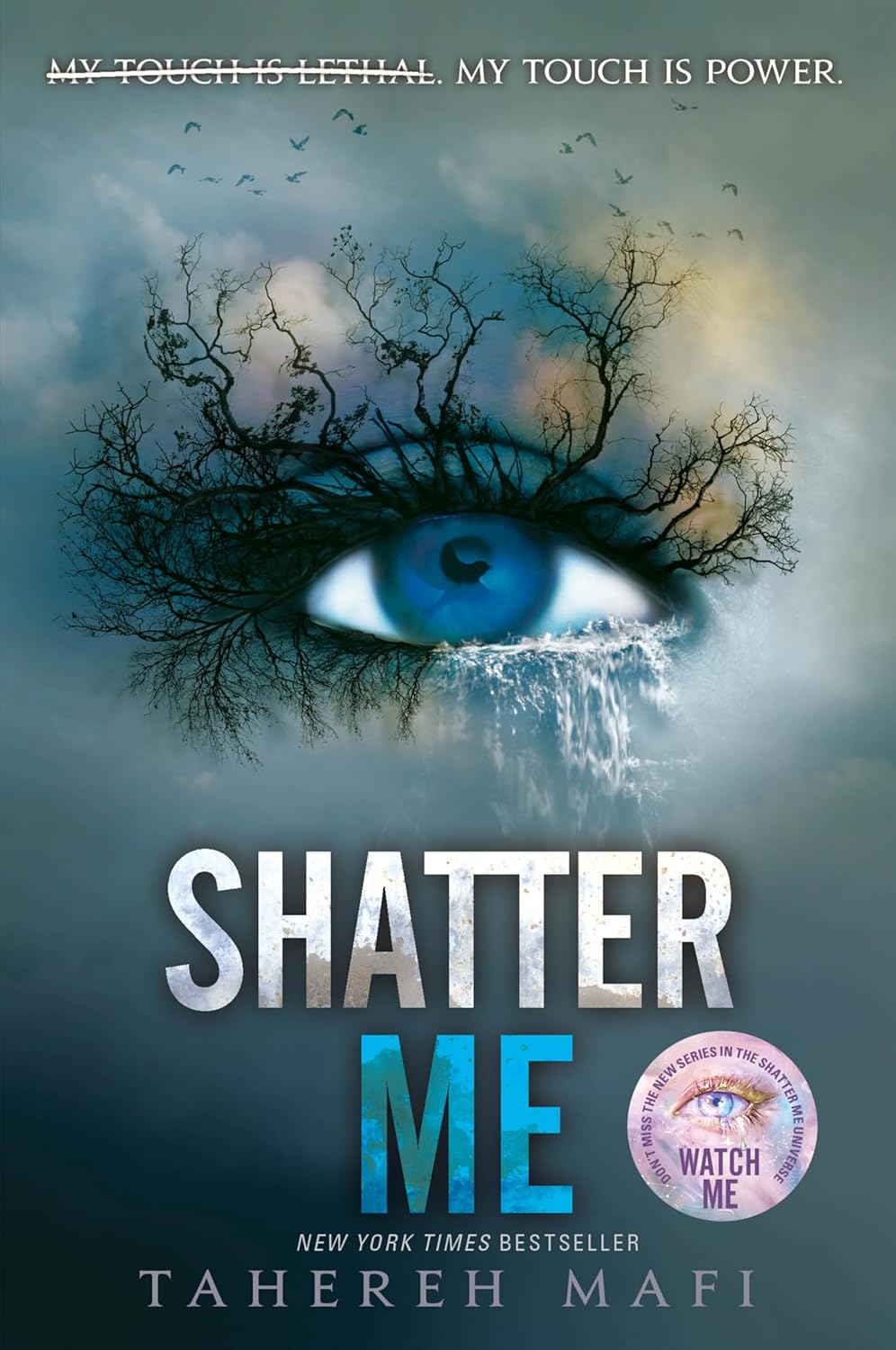 Shatter Me: A Riveting YA Romantasy with Forbidden Love and Epic Superpowers: 1: A Journey of Strength and Rebellion Against a Dictatorship baixar o livro de graça