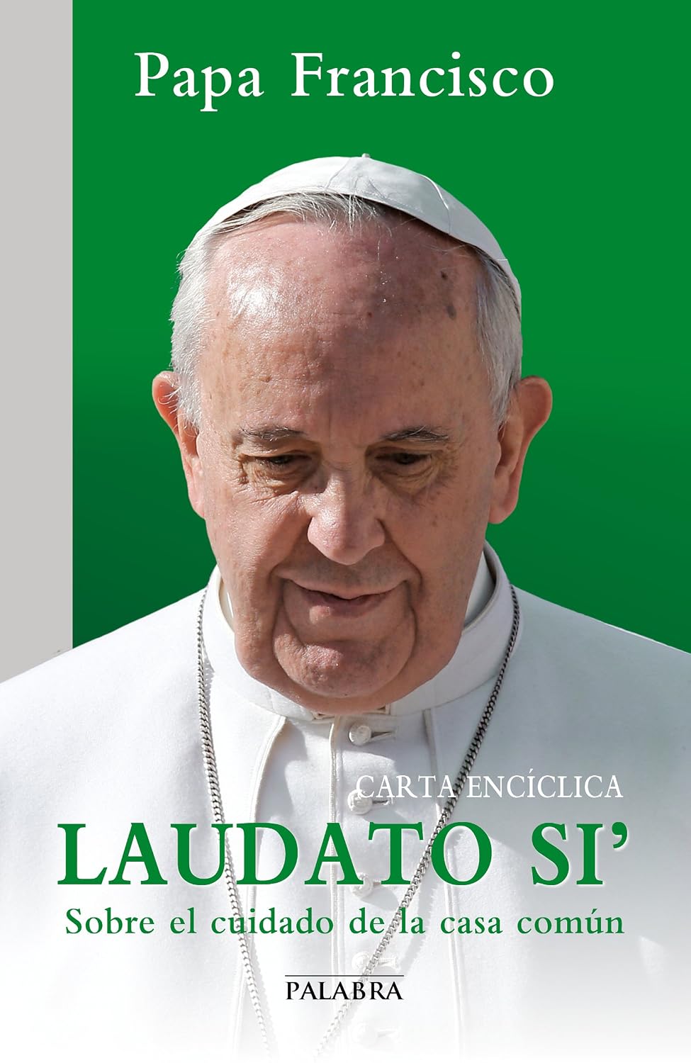 Laudato si' (Documentos MC) (Spanish Edition) baixar o livro de graça