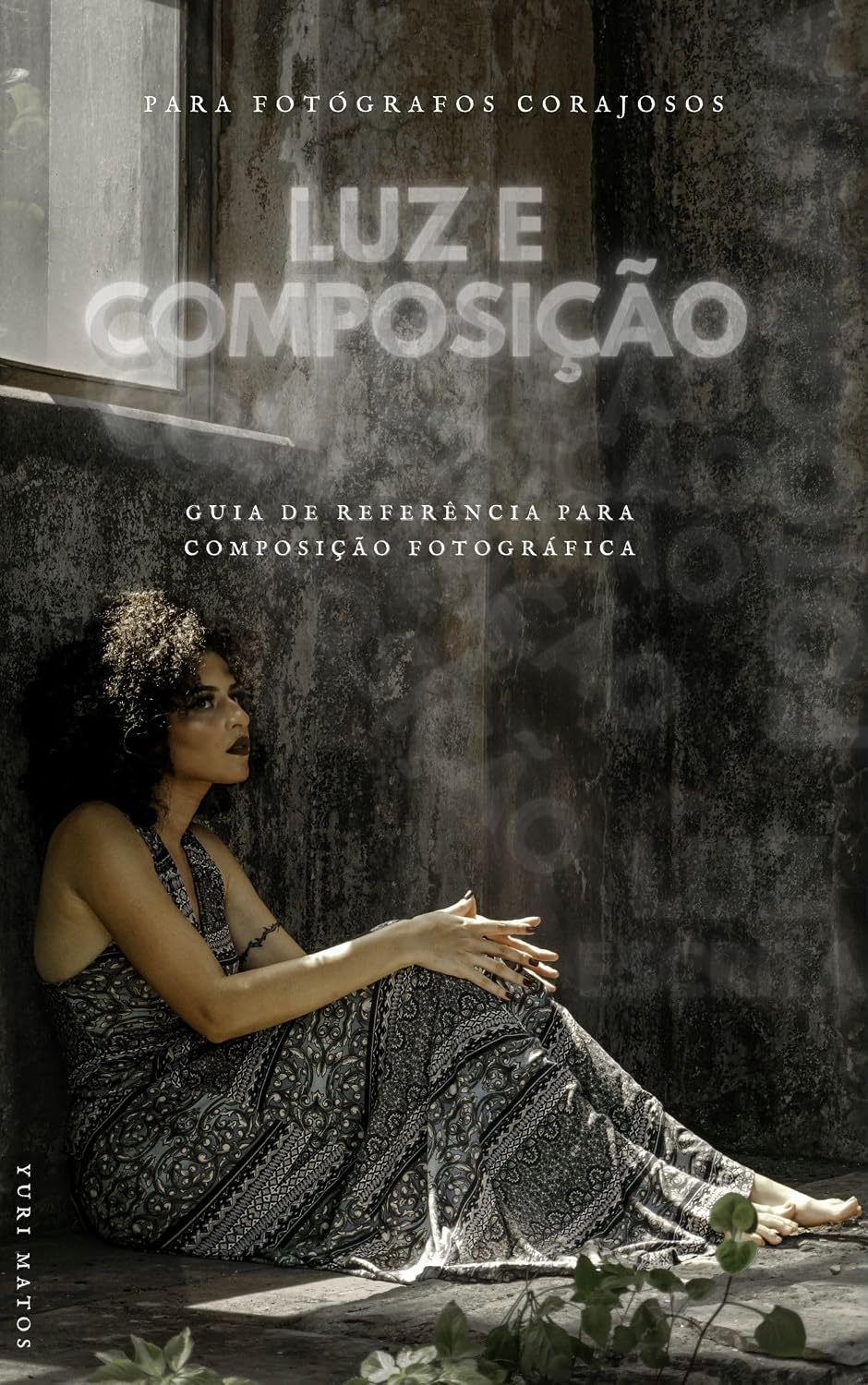 capítulo por capítulo baixar Luz e composição. guia de referencia para composição fotográfica